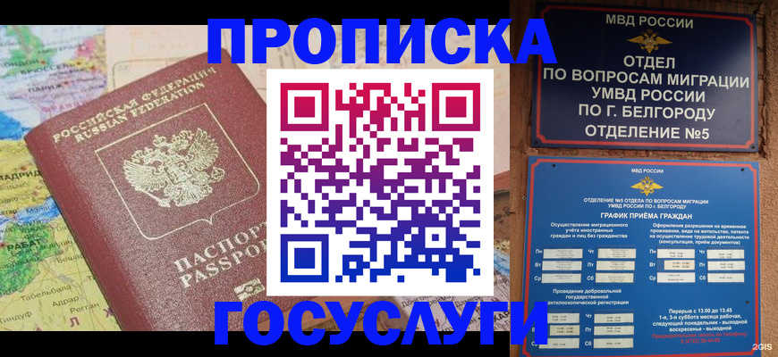 прописка регистрация в Светлогорске