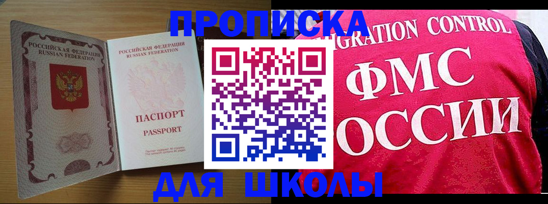 прописка 2025 в Светлогорске